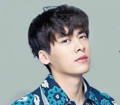 爆料李易峰男网红视频,真相与争议