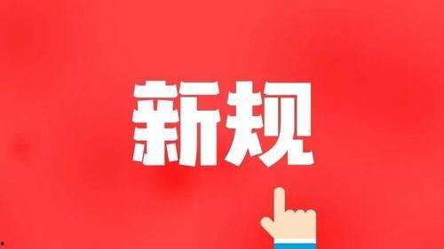网易八月份爆料新闻事件,揭秘重大新闻事件背后真相