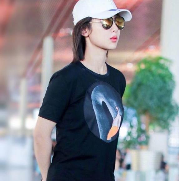 圈内爆料杨紫和小花,幕后故事曝光引热议